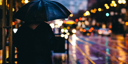 鹿岛鹿角队长发声，誓夺世俱杯冠军荣耀