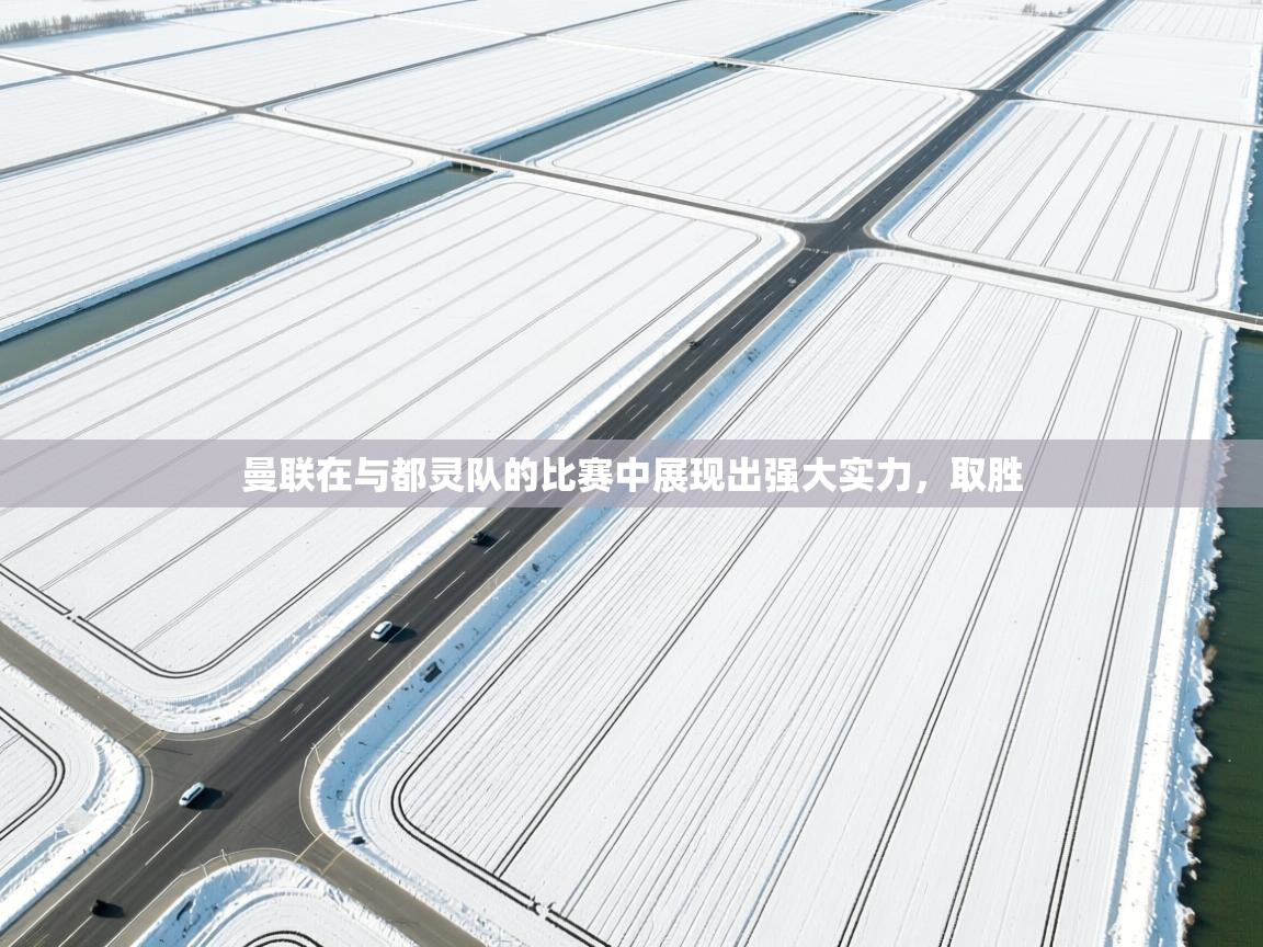 曼联在与都灵队的比赛中展现出强大实力,取胜 第1张